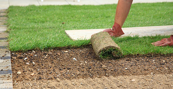 Lawn Installation